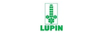 Lupin